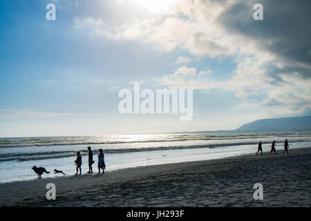 La silhouette du peuple et leurs chiens en marchant sur la plage principale au coucher du soleil, Hermanus, Afrique du Sud, l'Afrique Banque D'Images