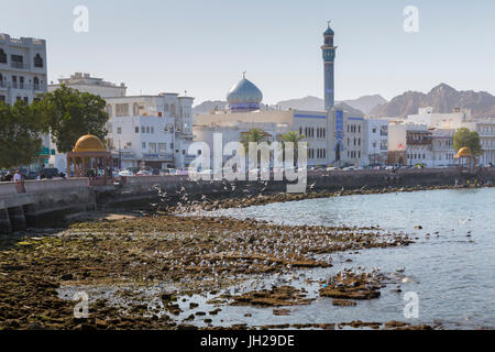 Vue de la mosquée Al Rasool Al Adham et Corniche à Muttrah, Muscat, Oman, Middle East Banque D'Images