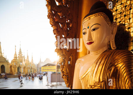 La Pagode Shwedagon à Yangon (Rangoon), le Myanmar (Birmanie), l'Asie Banque D'Images