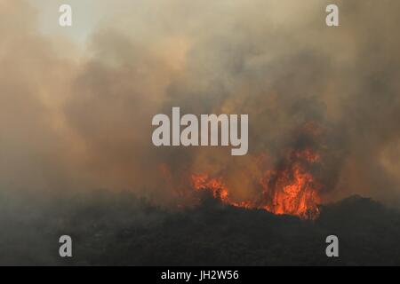 Goleta, Californie, USA. 12 juillet, 2017. Les flammes s'enflammer le long d'une montagne au cours de l'incendie Whittier dans Santa Barbara County est de Goleta, Californie. L'incendie Whittier est passé d'environ 700 à 11 920 acres et de confinement atteint 48 pour cent du jour au lendemain, Cal Fire dit. Crédit : Joel Angel Juarez/ZUMA/Alamy Fil Live News Banque D'Images