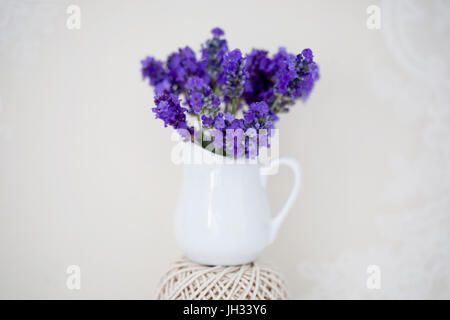 Étude de la vie encore Lavande Anglaise tourné en studio en UK Banque D'Images