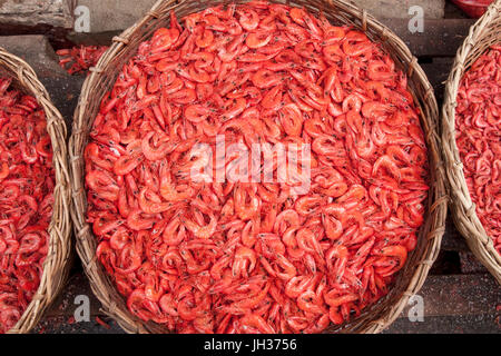 Crevettes séchées et salées dans les paniers en osier au principal marché à Colombo, capitale du Sri Lanka Banque D'Images