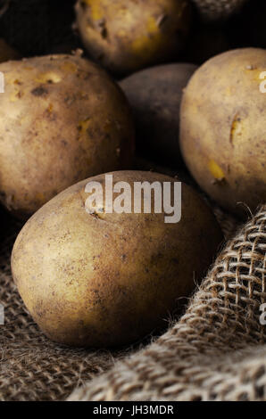 Groupe d'ensemble, frais, pommes de terre souillée encore, récoltés dans un sac en toile de jute. Banque D'Images