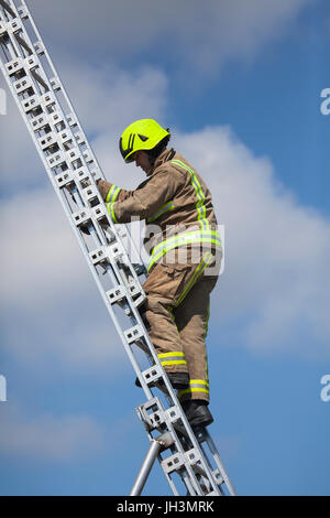 Les pompiers à l'aide d'échelles portatives pour accéder aux feux de forêt Banque D'Images