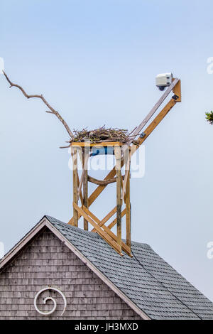 L'Audubon Osprey boat house came située au Hog Island Camp d'Audubon à Brême, Maine, USA. Banque D'Images