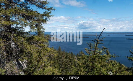 Vue du lac pielinen, à partir de la montagne koli, un jour de printemps, dans la région de Lieksa, Karelia, Finlande Banque D'Images