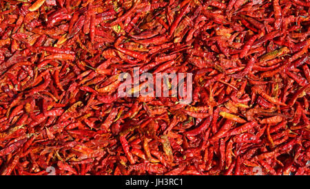 Piment rouge séché au marché asiatique. Close up. Banque D'Images