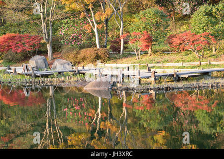 Abstract colorful reflet d'automne feuilles d'érable japonais dynamique sur les eaux de l'étang de la structure horizontale Banque D'Images