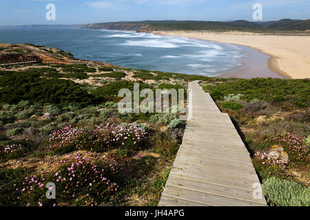 Chemin en bois avec des fleurs et une vue extraordinaire sur Praia da Bordeira, Portugal. Banque D'Images