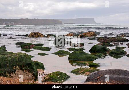 Vue sur les falaises le long de la plage de Whitepark Causeway Coast, l'Irlande du Nord Banque D'Images