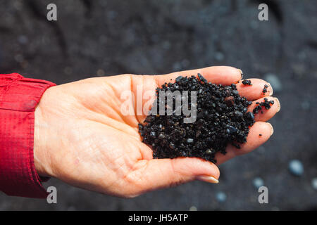 Woman's hand holding et de gravier de sable noir de la plage de Reynisfjara qui jouit en Islande Banque D'Images