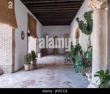 Palais du Marquis de Viana, précédemment connu sous le nom de Palais des grills de Don Gome, Bâtiment du xivème siècle de style manierista, Cordoue, Espagne Banque D'Images