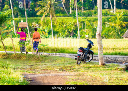 Bali, Indonésie - Mai 6, 2017 : balinais non identifiés des femmes habillées en costumes traditionnels s'acquitter des cérémonies religieuses et des offrandes aux dieux pour Banque D'Images