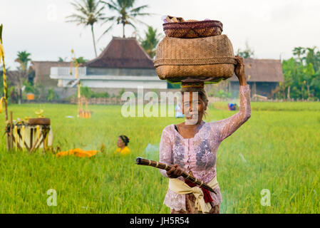 Bali, Indonésie - 6 mai, 2017 non identifié : femme balinais en costume traditionnel s'acquitter des cérémonies religieuses et des offrandes aux dieux pour Banque D'Images