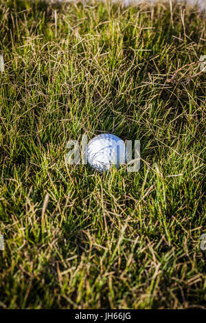 Balle de golf dans l'herbe rugueuse sur un terrain de golf Banque D'Images