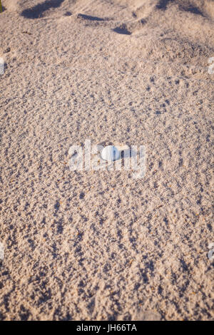 Balle de golf dans le sable d'un bunker sur terrain de golf sur une journée ensoleillée Banque D'Images