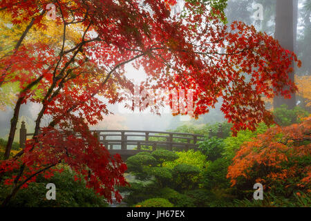 Couleurs d'automne par le pont de la Lune dans le jardin japonais de Portland un matin brumeux Banque D'Images