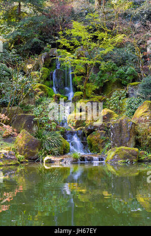 Tombe du ciel dans le jardin japonais de Portland lors de la saison du printemps Banque D'Images