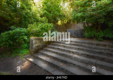 Jardin ancien des murs en pierre et d'escalier avec une végétation luxuriante de plantes arbustes dans la lumière du soleil filtrée Banque D'Images