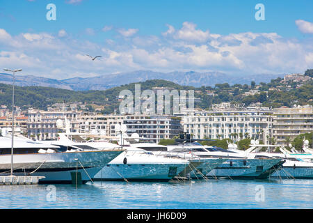 Port Pierre Canto, Cannes, France Banque D'Images