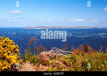 Avis de Rathlin Island au large de la côte de Causeway, l'Irlande du Nord Banque D'Images