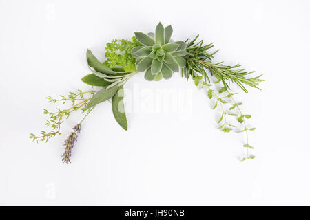 Une magnifique couronne de différentes plantes et fleurs. Il peut être utilisé séparément ou comme partie d'une plus grande composition. Banque D'Images