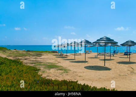 Des parasols de paille sur la plage près de Paphos, Chypre Banque D'Images