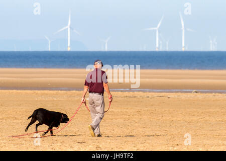 Southport, Merseyside, 13 juillet 2017. Météo britannique. Un beau début de journée ensoleillée sur la côte nord-ouest de l'Angleterre comme dog walkers prendre leurs animaux pour une bonne course au soleil sur le sable doré de la plage de Southport Merseyside. Avec des périodes de soleil magnifiques devrait se poursuivre tout au long de la journée, une belle journée est prévue au cours de la populaire station balnéaire. Credit : Cernan Elias/Alamy Live News Banque D'Images