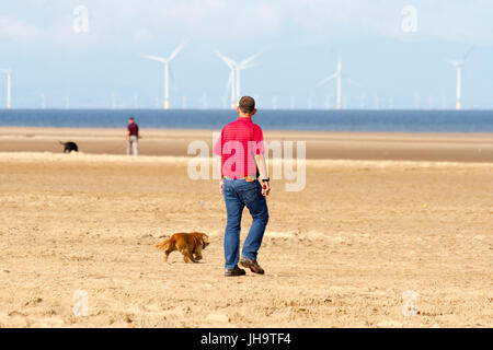 Southport, Merseyside, 13 juillet 2017. Météo britannique. Un beau début de journée ensoleillée sur la côte nord-ouest de l'Angleterre comme dog walkers prendre leurs animaux pour une bonne course au soleil sur le sable doré de la plage de Southport Merseyside. Avec des périodes de soleil magnifiques devrait se poursuivre tout au long de la journée, une belle journée est prévue au cours de la populaire station balnéaire. Credit : Cernan Elias/Alamy Live News Banque D'Images