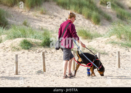 Southport, Merseyside, 13 juillet 2017. Météo britannique. Un beau début de journée ensoleillée sur la côte nord-ouest de l'Angleterre comme dog walkers prendre leurs animaux pour une bonne course au soleil sur le sable doré de la plage de Southport Merseyside. Avec des périodes de soleil magnifiques devrait se poursuivre tout au long de la journée, une belle journée est prévue au cours de la populaire station balnéaire. Credit : Cernan Elias/Alamy Live News Banque D'Images