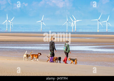 Southport, Merseyside, 13 juillet 2017. Météo britannique. Un beau début de journée ensoleillée sur la côte nord-ouest de l'Angleterre comme dog walkers prendre leurs animaux pour une bonne course au soleil sur le sable doré de la plage de Southport Merseyside. Avec des périodes de soleil magnifiques devrait se poursuivre tout au long de la journée, une belle journée est prévue au cours de la populaire station balnéaire. Credit : Cernan Elias/Alamy Live News Banque D'Images