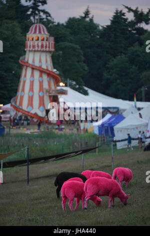 Henham Park, Southwold, UK. Le 13 juillet, 2017. La célèbre brebis rose le premier jour (Jeudi) de la Latitude 2017 festival à Henham Park, Southwold dans le Suffolk. Date de la photo : Jeudi, Juillet 13, 2017. Crédit photo doit se lire : Roger Garfield/Alamy Live News. Banque D'Images