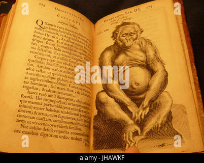 Nicolaes Tulp 1641 3de capvt satyre lvi Banque D'Images