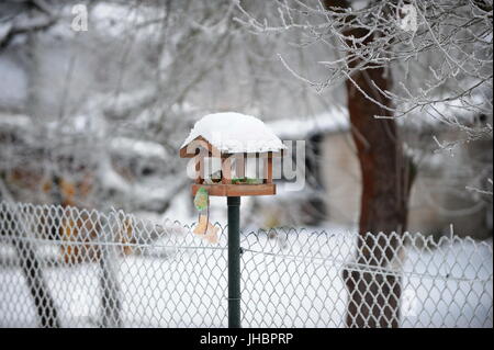 Mangeoire à mésange sur fence Banque D'Images