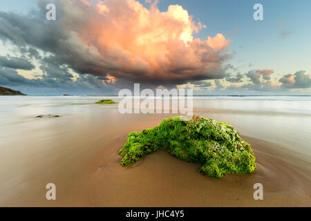 Une roche couverts dans des algues vertes est éclairé par un nuage d'orage dans ce beau lever de soleil paysage marin. Banque D'Images