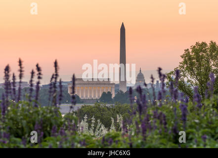 L'aube de Pays-bas Cotillion de Washington DC Banque D'Images