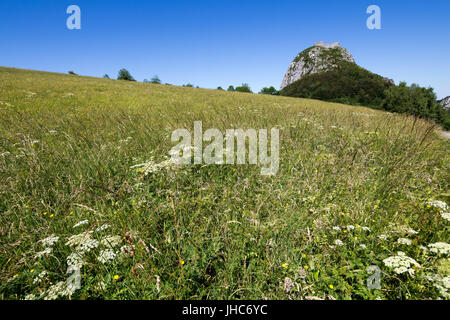 Fort Montségur, Alt. m 1059, France. Banque D'Images