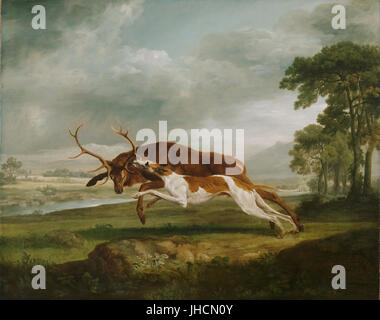 George Stubbs, Anglais - Hound coulant un Cerf - Banque D'Images