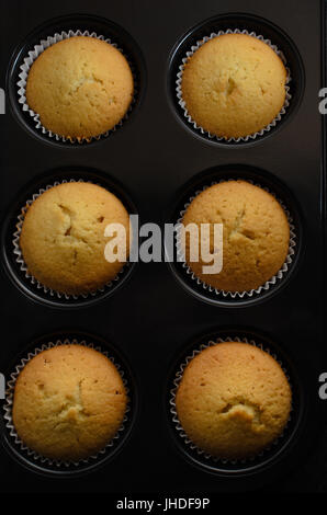 Coup de frais généraux des six plain vanilla golden cup cakes à bun l'étain. Banque D'Images