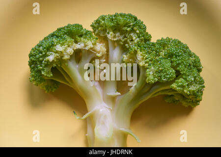 Le Brocoli bouilli macro arbre vert jaune sur une plaque sur une table en bois d'arbre de vie en bonne santé. Banque D'Images