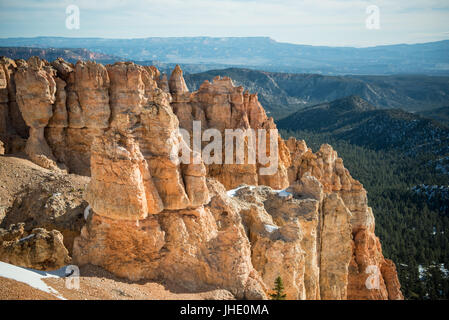 Bouleau noir le long de la route panoramique Bryce Canyon dans l'Utah Banque D'Images