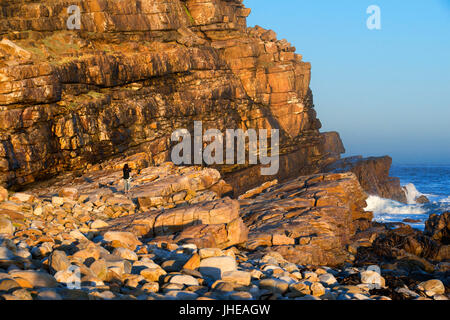 Cap de Bonne Espérance au coucher du soleil, Afrique du Sud, Western Cape, Cape of Good Hope National Park Banque D'Images