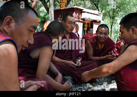 Monks débattre à la Cour à débattre monastère de Séra, Lhassa, Tibet Banque D'Images