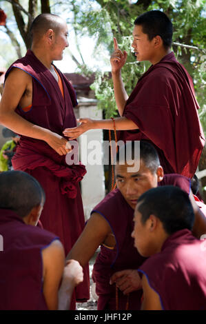 Monks débattre à la Cour à débattre monastère de Séra, Lhassa, Tibet Banque D'Images