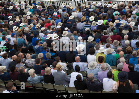 Foule de gens regardant jeu de cricket, Birmingham, West Midlands, Angleterre, Royaume-Uni, Europe Banque D'Images