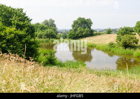 Les étangs de Warren's Hall et trou de bourdons réserve naturelle locale dans la région de Dudley, Netherton Banque D'Images