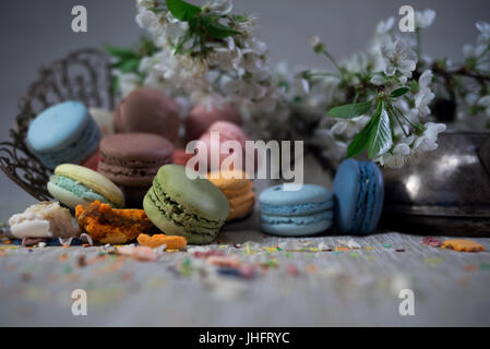 Macarons multicolores sur une table avec l'est de vase et cherry branch en fleurs Banque D'Images