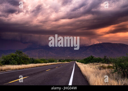 Barrière de nuages spectaculaires de l'avant de l'approche d'un violent orage près de Catalina, Arizona Banque D'Images