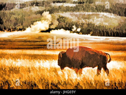 Bison d'Amérique dans le Parc National de Yellowstone, Wyoming, USA. --Art Peinture Photo Numérique Banque D'Images