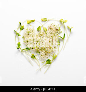 Mini legumes disposés en forme de coeur sur fond blanc. Les pousses de tournesol, luzerne, microgreens. Mise à plat. Nature et aliments sains, l'alimentation, l'eco concept. Banque D'Images